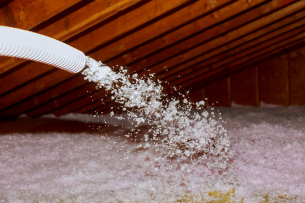 Best Cellulose Insulation in Fabrica, TX
