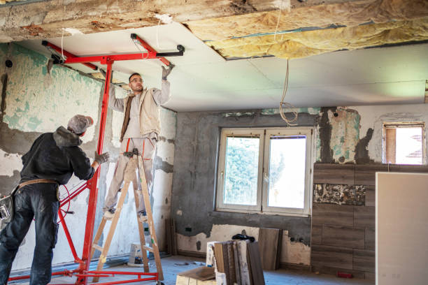 Best Commercial Insulation in Fabrica, TX