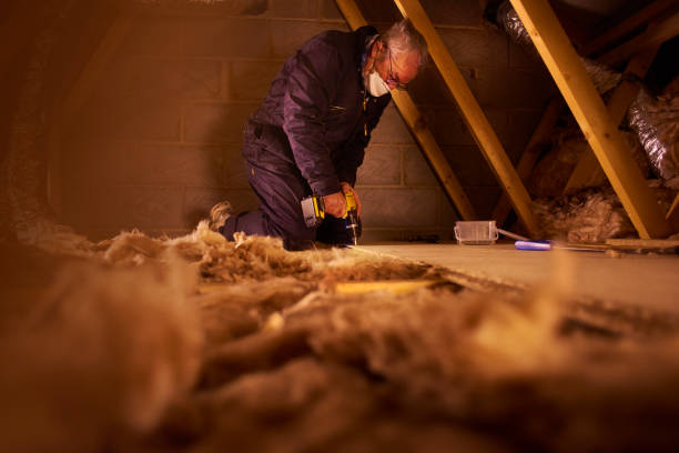 Best Geographic-Specific Insulation Services in Fabrica, TX