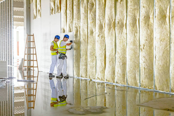 Reliable Fabrica, TX Insulation Contractor Solutions